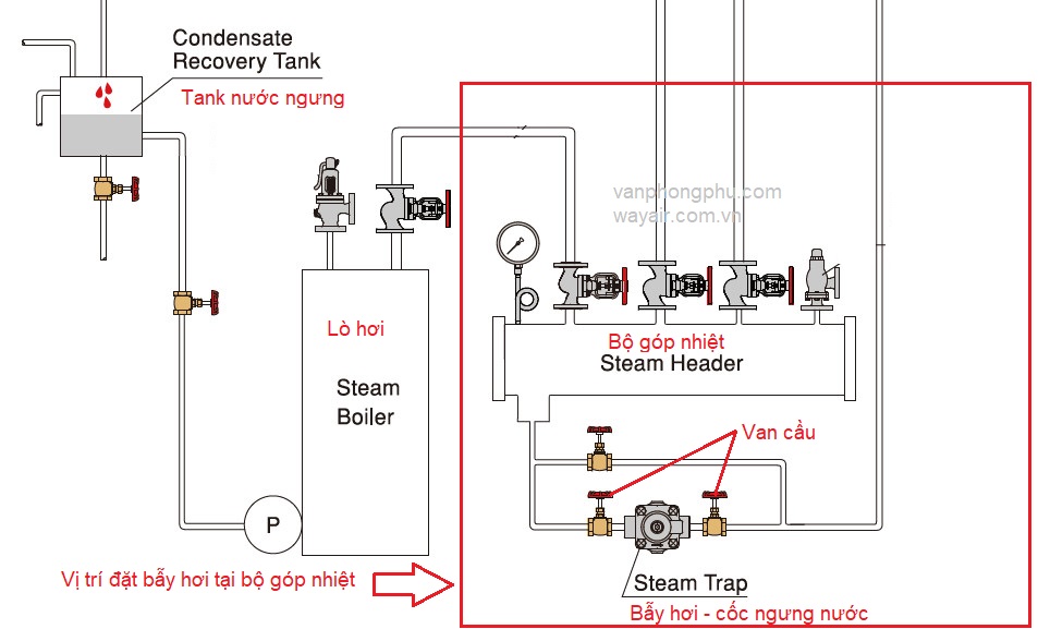 vị trí lắp đặt steam trap