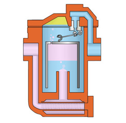 Lịch sử của bẫy hơi – steam strap history