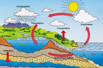 Sự bay hơi là gì? Sự ngưng tự là gì?
