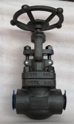 Forged steel globe valve A1050