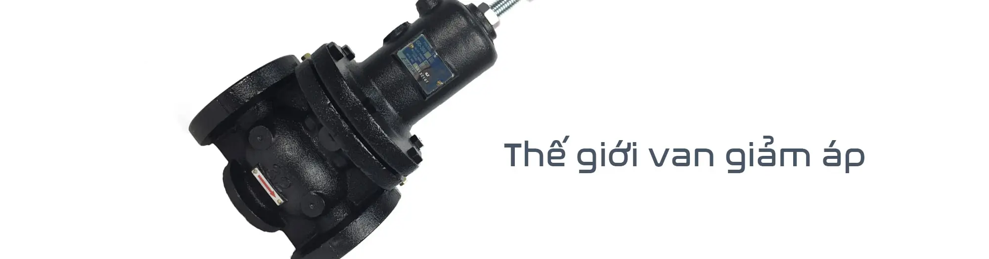 Slide trang chủ tiếng Việt