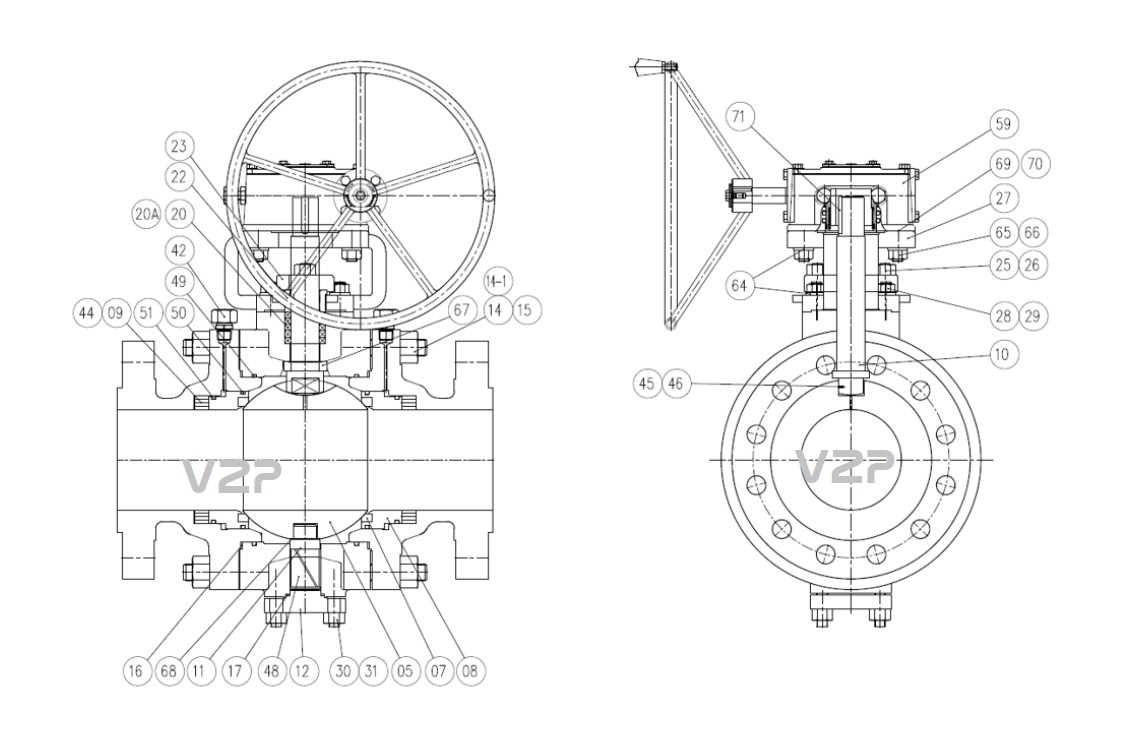 van bi Trunnion PN25 PN40 Class150 class300 class600 class900