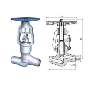 Globe valve J961Y J61Y J61H